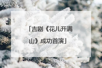 吉剧《花儿开满山》成功首演