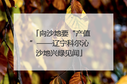 向沙地要“产值”——辽宁科尔沁沙地兴绿见闻
