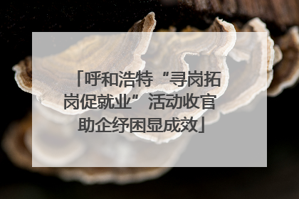 呼和浩特“寻岗拓岗促就业”活动收官 助企纾困显成效