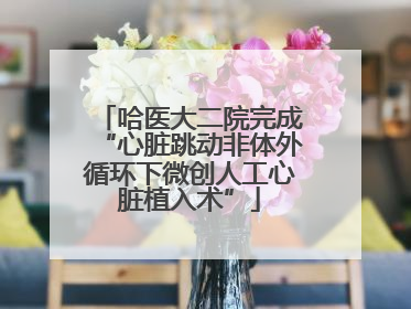 哈医大二院完成“心脏跳动非体外循环下微创人工心脏植入术”
