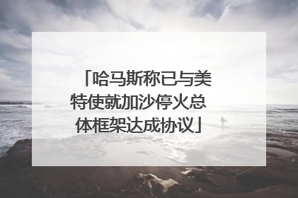 哈马斯称已与美特使就加沙停火总体框架达成协议