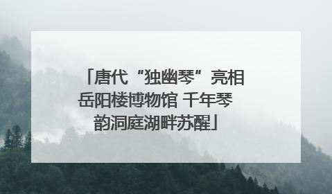 唐代“独幽琴”亮相岳阳楼博物馆 千年琴韵洞庭湖畔苏醒