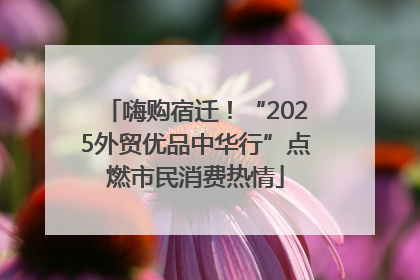 嗨购宿迁！“2025外贸优品中华行”点燃市民消费热情