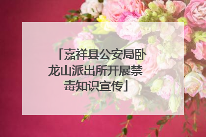 嘉祥县公安局卧龙山派出所开展禁毒知识宣传