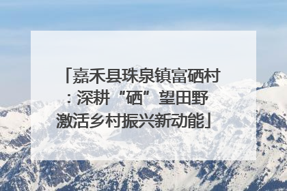 嘉禾县珠泉镇富硒村：深耕“硒”望田野 激活乡村振兴新动能