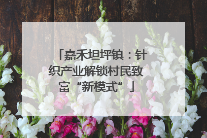 嘉禾坦坪镇：针织产业解锁村民致富“新模式”