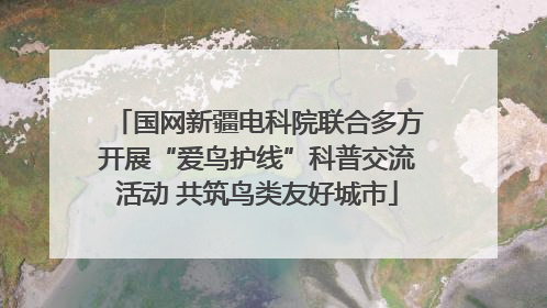 国网新疆电科院联合多方开展“爱鸟护线”科普交流活动 共筑鸟类友好城市