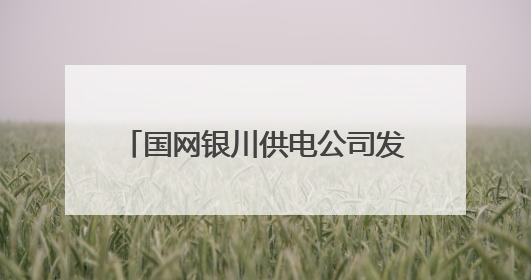 国网银川供电公司发布2024年服务地方经济社会发展白皮书
