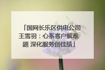 国网长乐区供电公司王雪羽：心系客户解难题 深化服务创佳绩