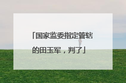 国家监委指定管辖的田玉军，判了