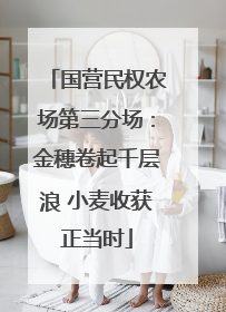 国营民权农场第三分场：金穗卷起千层浪 小麦收获正当时