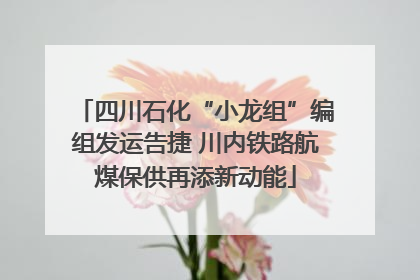 四川石化“小龙组”编组发运告捷 川内铁路航煤保供再添新动能
