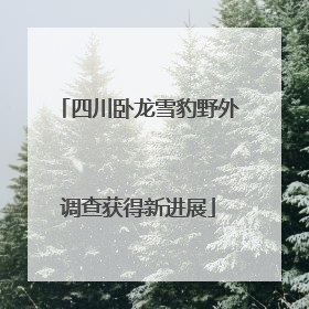 四川卧龙雪豹野外调查获得新进展