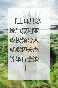 土耳其总统与叙利亚政权领导人就双边关系等举行会谈