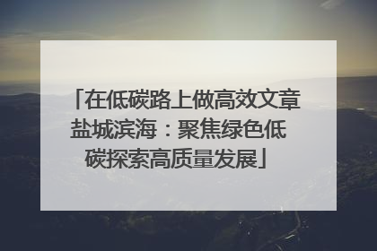 在低碳路上做高效文章 盐城滨海：聚焦绿色低碳探索高质量发展
