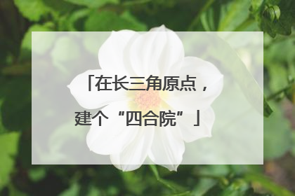 在长三角原点，建个“四合院”