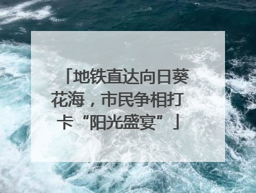 地铁直达向日葵花海，市民争相打卡“阳光盛宴”