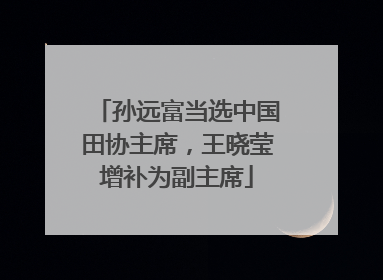 孙远富当选中国田协主席，王晓莹增补为副主席