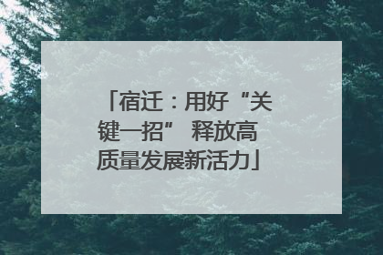 宿迁：用好“关键一招” 释放高质量发展新活力