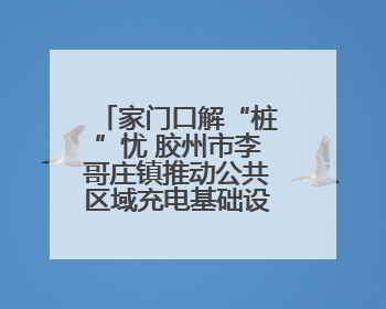 家门口解“桩”忧 胶州市李哥庄镇推动公共区域充电基础设施建设