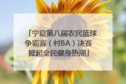 宁夏第八届农民篮球争霸赛（村BA）决赛掀起全民健身热潮