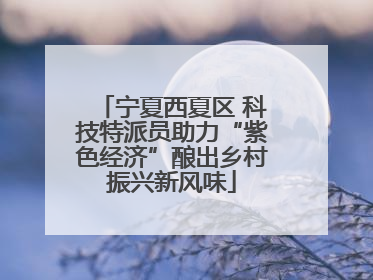 宁夏西夏区 科技特派员助力“紫色经济”酿出乡村振兴新风味