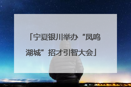 宁夏银川举办“凤鸣湖城”招才引智大会