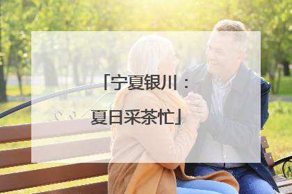 宁夏银川：夏日采茶忙