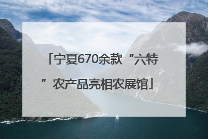 宁夏670余款“六特”农产品亮相农展馆