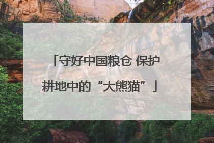 守好中国粮仓 保护耕地中的“大熊猫”