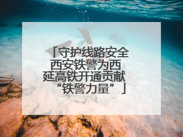 守护线路安全 西安铁警为西延高铁开通贡献“铁警力量”