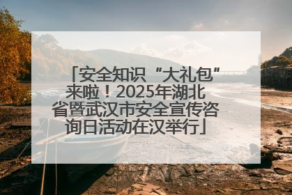 安全知识“大礼包”来啦！2025年湖北省暨武汉市安全宣传咨询日活动在汉举行