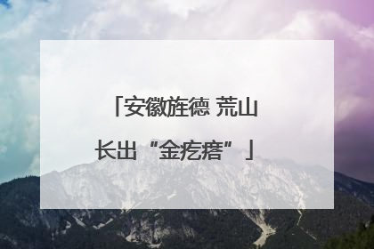 安徽旌德 荒山长出“金疙瘩”