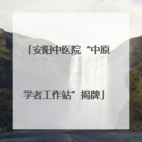 安阳中医院“中原学者工作站”揭牌