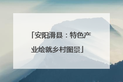 安阳滑县：特色产业绘就乡村图景