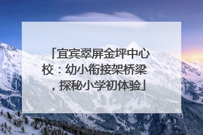 宜宾翠屏金坪中心校：幼小衔接架桥梁，探秘小学初体验