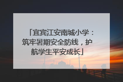 宜宾江安南城小学：筑牢暑期安全防线，护航学生平安成长