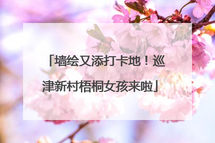 墙绘又添打卡地！巡津新村梧桐女孩来啦