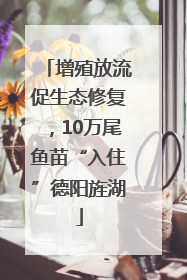 增殖放流促生态修复，10万尾鱼苗“入住”德阳旌湖