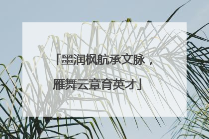 墨润枫航承文脉，雁舞云章育英才