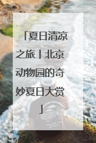 夏日清凉之旅丨北京动物园的奇妙夏日大赏