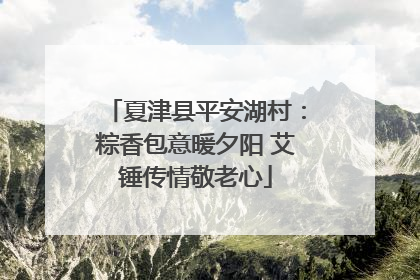 夏津县平安湖村：粽香包意暖夕阳 艾锤传情敬老心