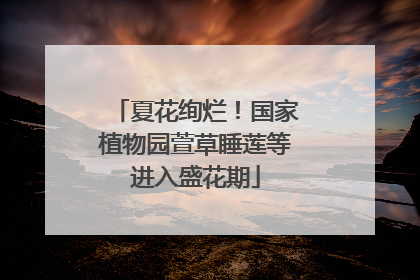 夏花绚烂！国家植物园萱草睡莲等进入盛花期
