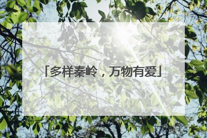 多样秦岭，万物有爱