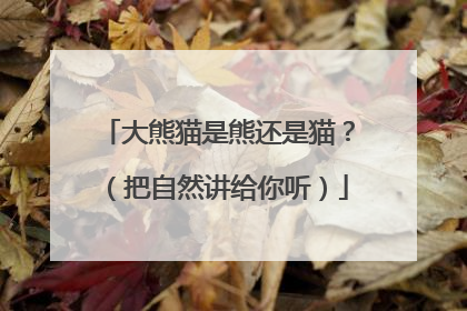 大熊猫是熊还是猫？（把自然讲给你听）