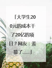 大学生200元的成本干了20亿的项目？网友：羡慕了……