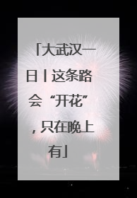 大武汉一日丨这条路会“开花”，只在晚上有