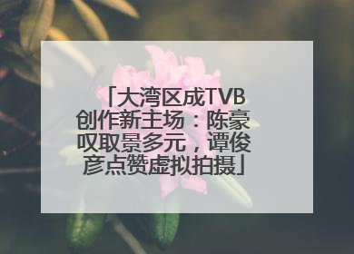 大湾区成TVB创作新主场：陈豪叹取景多元，谭俊彦点赞虚拟拍摄