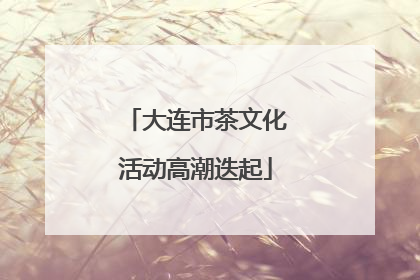 大连市茶文化活动高潮迭起