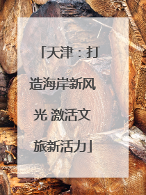 天津：打造海岸新风光 激活文旅新活力